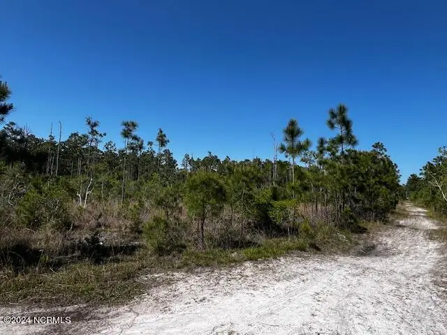 Lot 81 Trevino Road, Boiling Spring Lakes, NC 28461 - Image #2