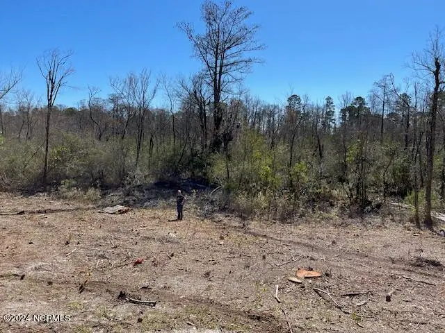 111 Barry Lane, Jacksonville, NC 28540 - #3