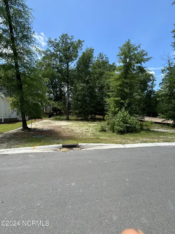 3709 Barnesmore Drive, Castle Hayne, NC 28429