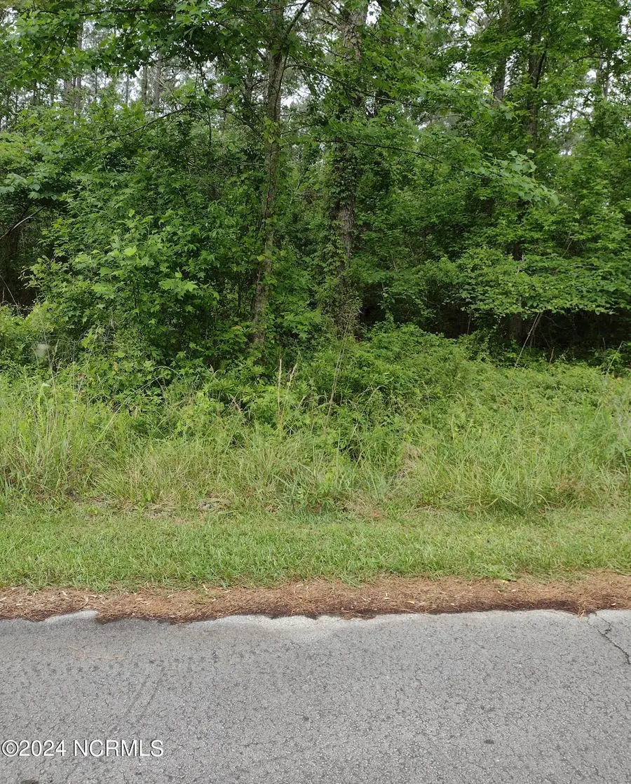 118 Cedarwood Drive, Havelock, NC 28532 - Image #3