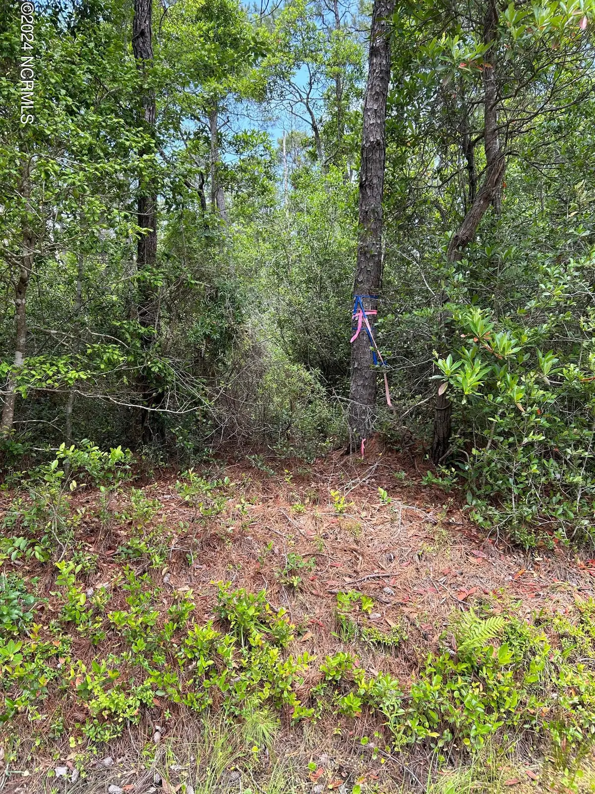 1695 Beech Road, Southport, NC 28461 - Image #1