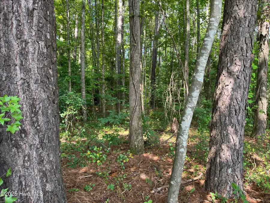 0 Green Road, Spring Hope, NC 27882 - Image #3