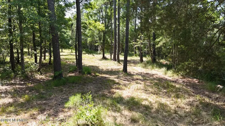 283 Garbacon Drive, Beaufort, NC 28516 - Image #2