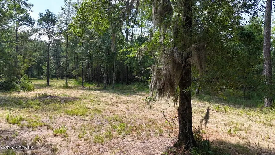 283 Garbacon Drive, Beaufort, NC 28516 - Image #3