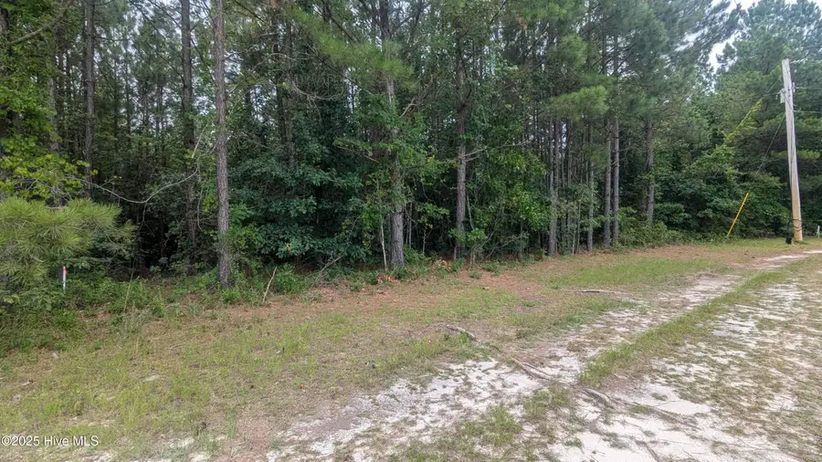 Tbd Line Road, Cameron, NC 28326 - Image #3