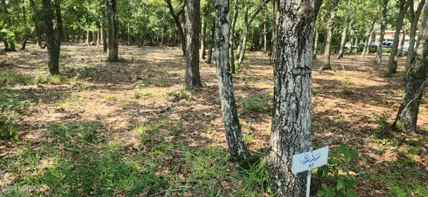 588 N Seascape Boulevard Sw, Holden Beach, NC 28462