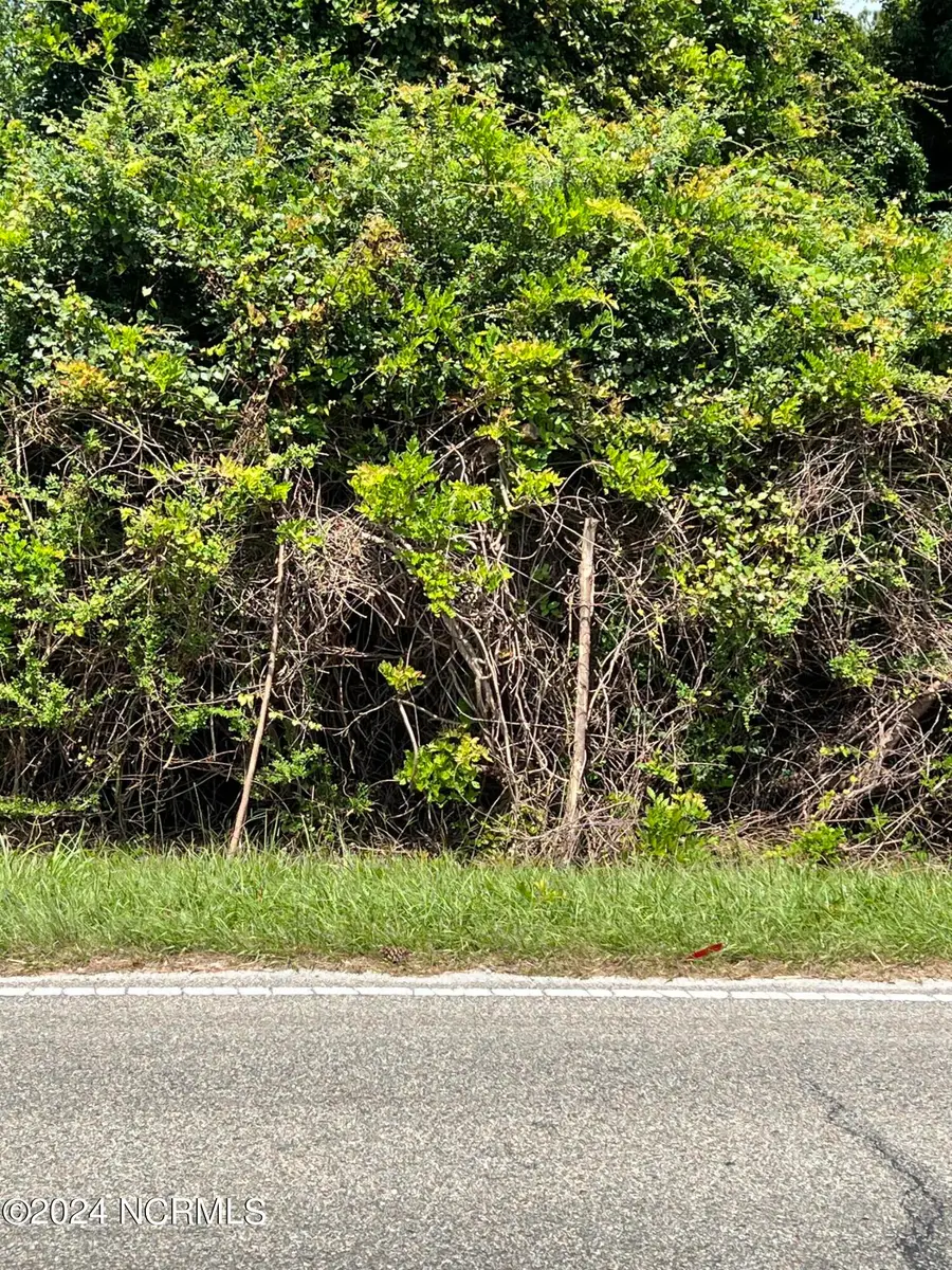 1/2lot #5 Near 1326 Chadbourn Highway, Whiteville, NC 28472 - Image #2