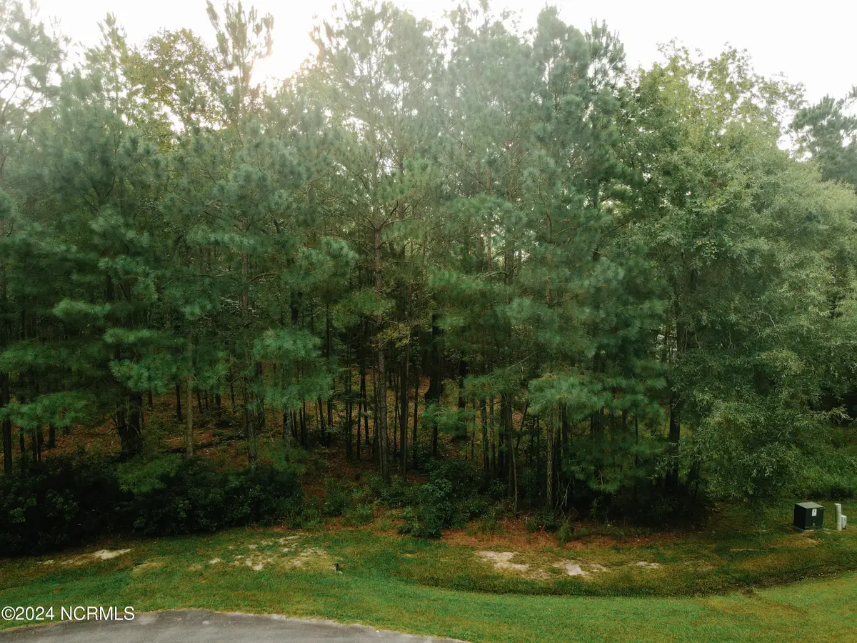 3 Alexander Drive, Belhaven, NC 27810 - Image #1