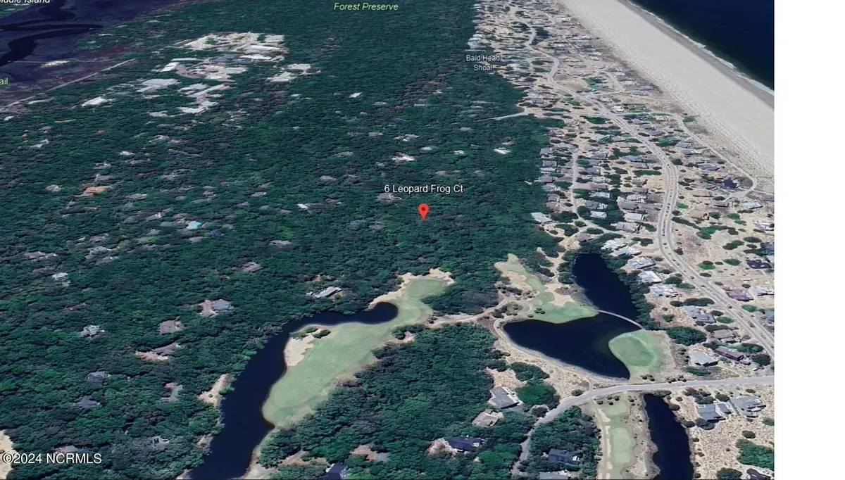 6 Leopard Frog Court, Bald Head Island, NC 28461 - Image #1