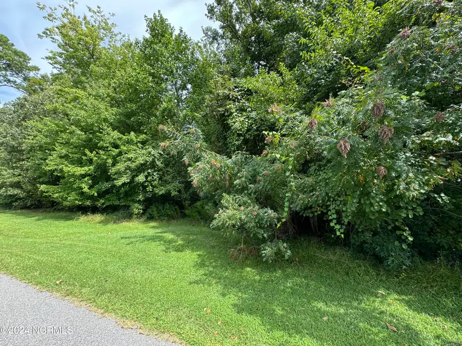 17 Broad River Drive, Hertford, NC 27944 - Image #3