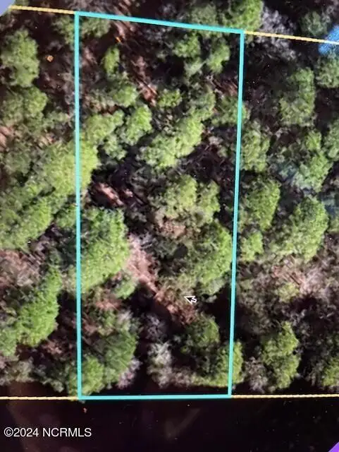 250 S Horsepen Road, Harrells, NC 28444 - Image #1