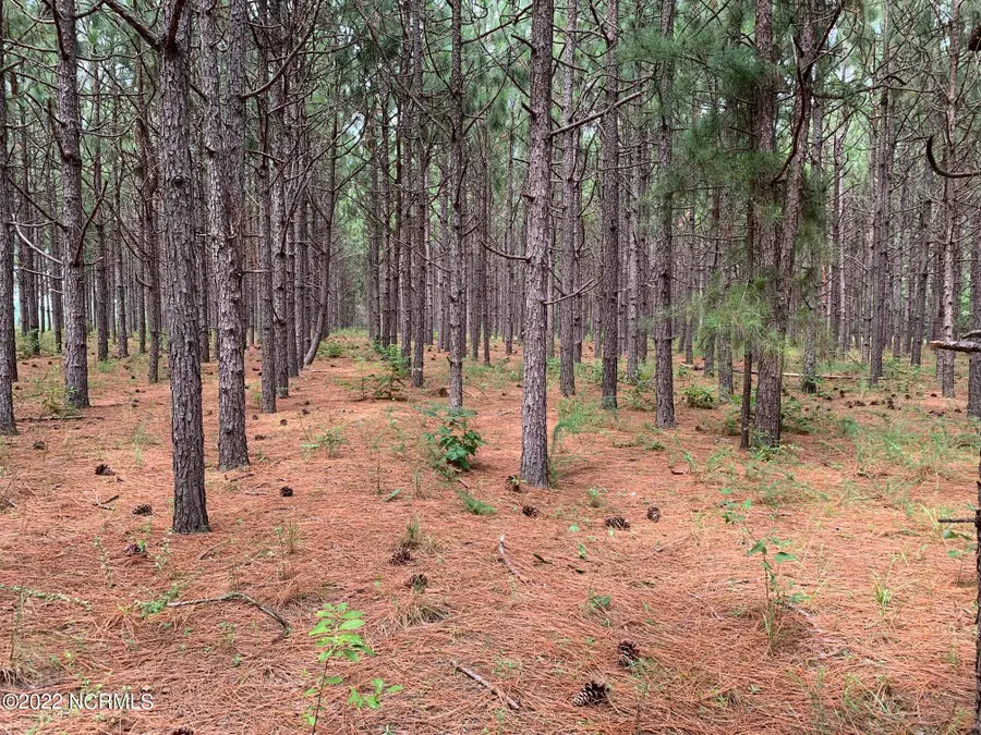 5188 Lobelia Road, Vass, NC 28394 - Image #2