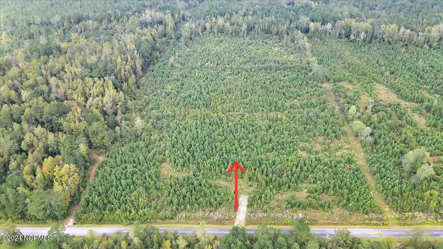 260 Andermora Road, Maple Hill, NC 28454 - Image #2