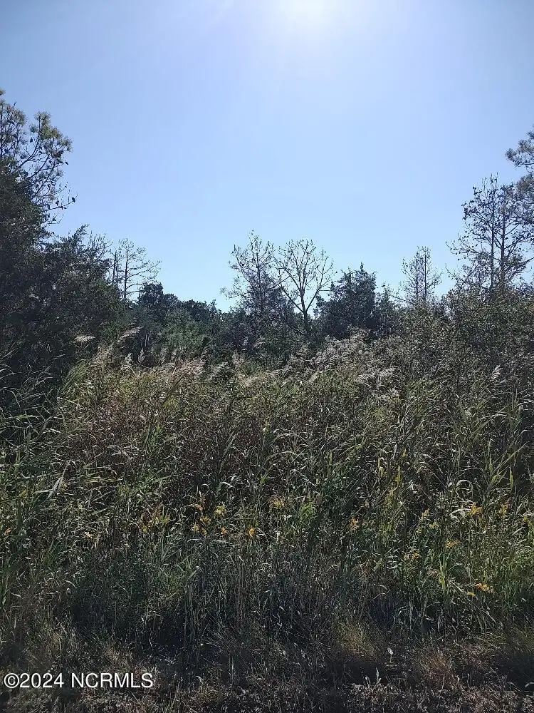 Tract A Meekins Road, Bayboro, NC 28515 - Image #1