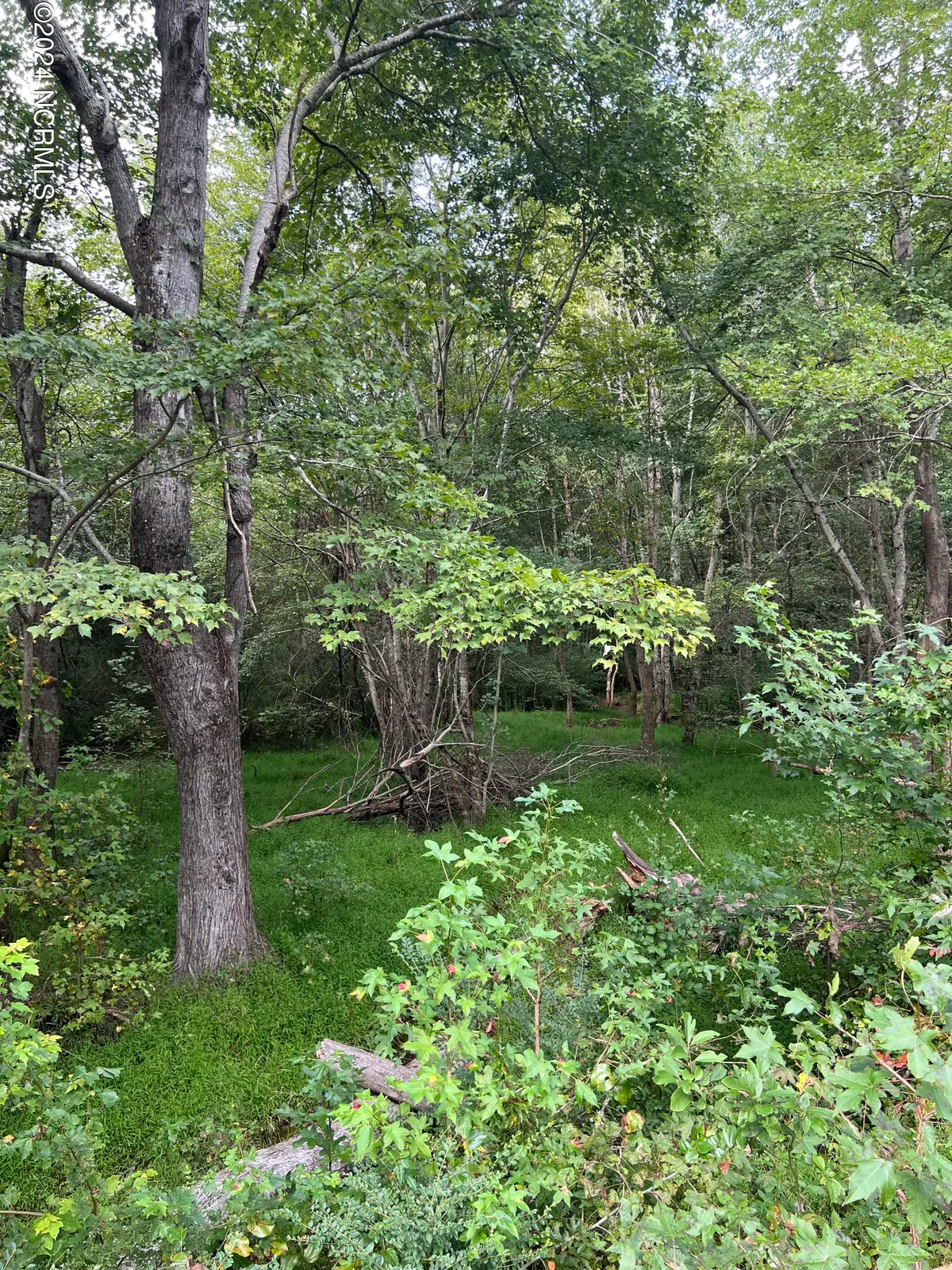 Lot 3 Us 264a, Bailey, NC 27807 - Image #1