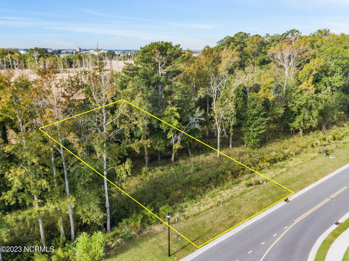 344 Preservation Point Avenue, Wilmington, NC 28401 - #1