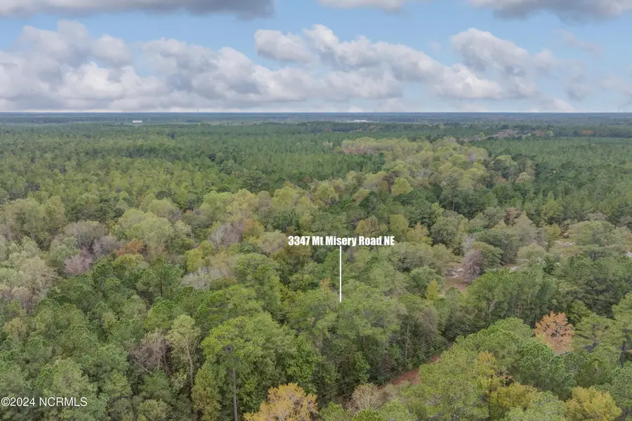3347 Mt Misery Road Ne, Leland, NC 28451 - Image #2