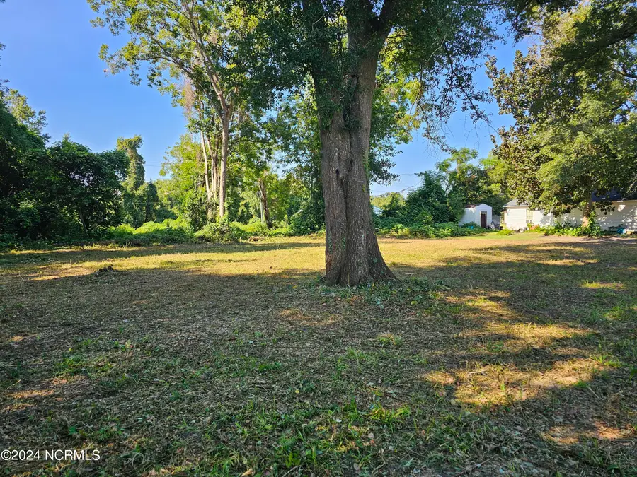 1508 Wynnwood Street, Wilmington, NC 28401 - Image #2