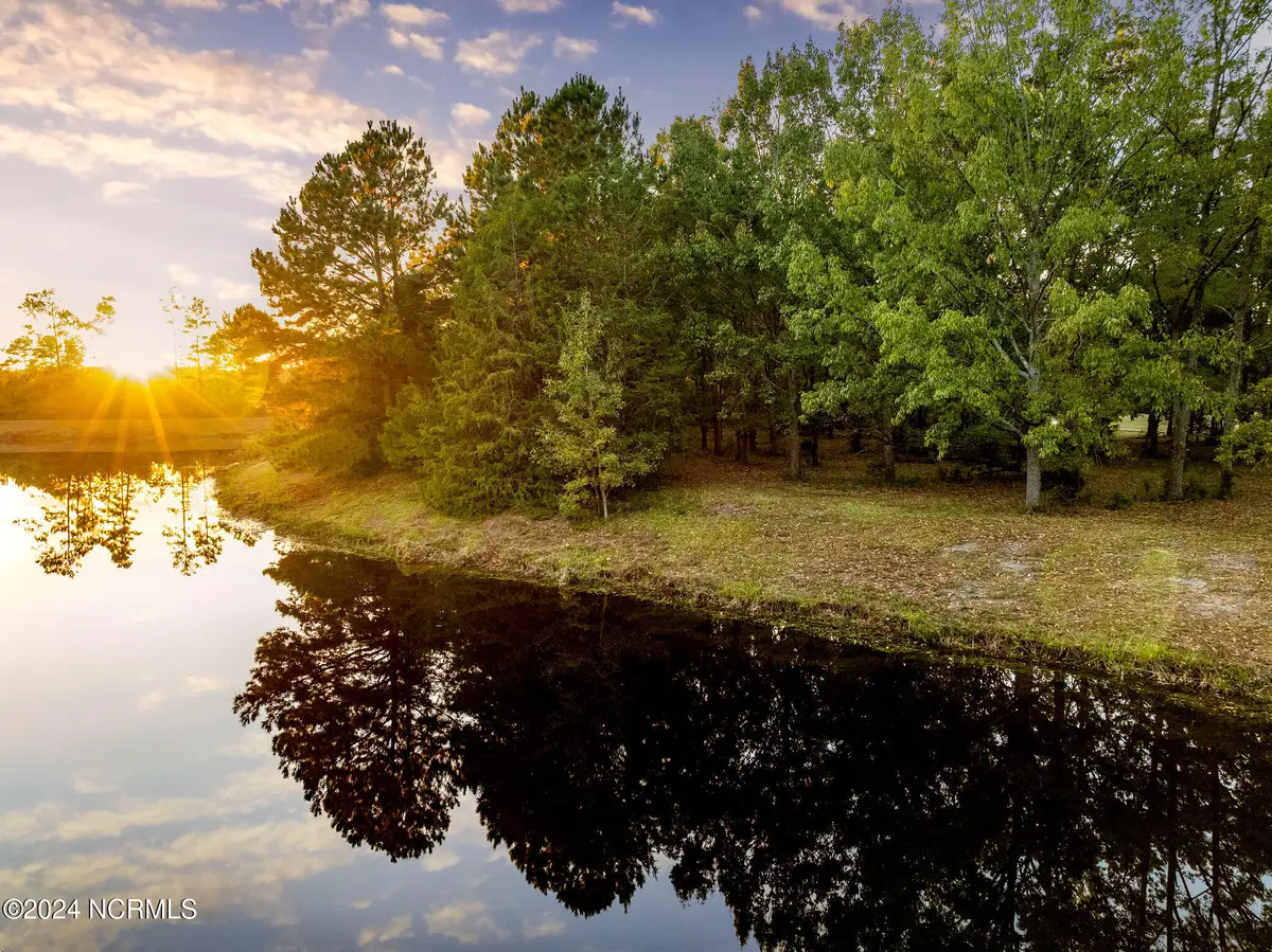 115 Mimosa Court, Wallace, NC 28466 - Image #1