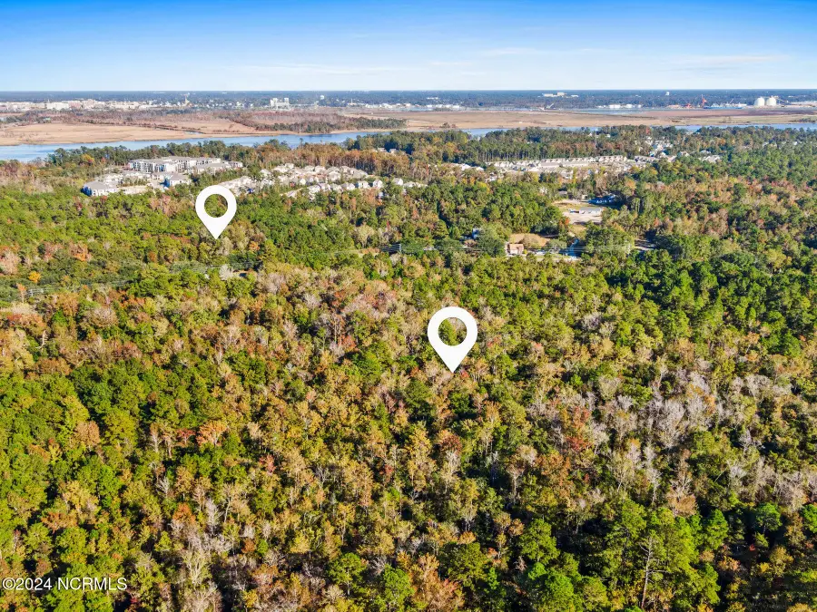 10295 Chappell Loop Road Se, Belville, NC 28451 - Image #3