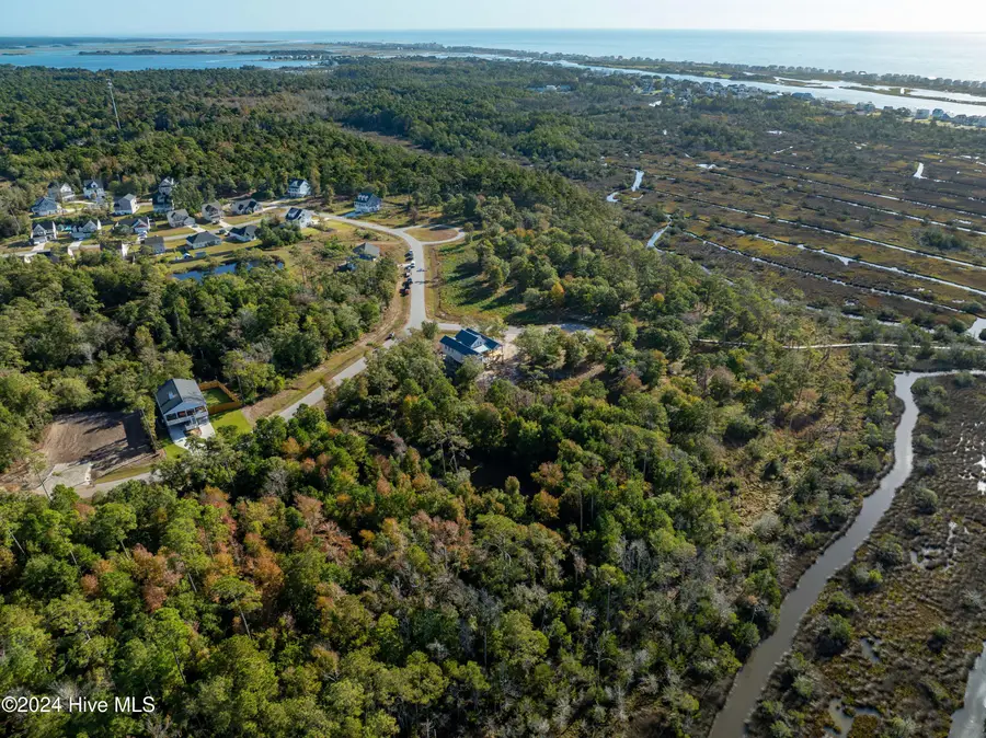 343 Landon Lane, Sneads Ferry, NC 28460 - #2