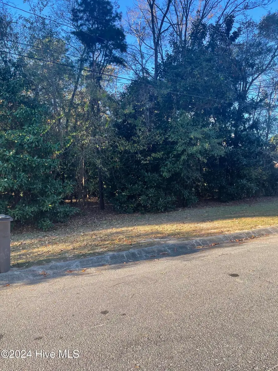 408 Lake Pines Drive, La Grange, NC 28551 - Image #2