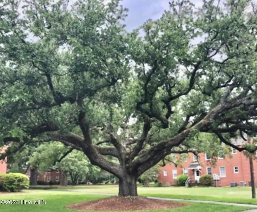 2940 Oleander Drive #D-16, Wilmington, NC 28403 - Image #2