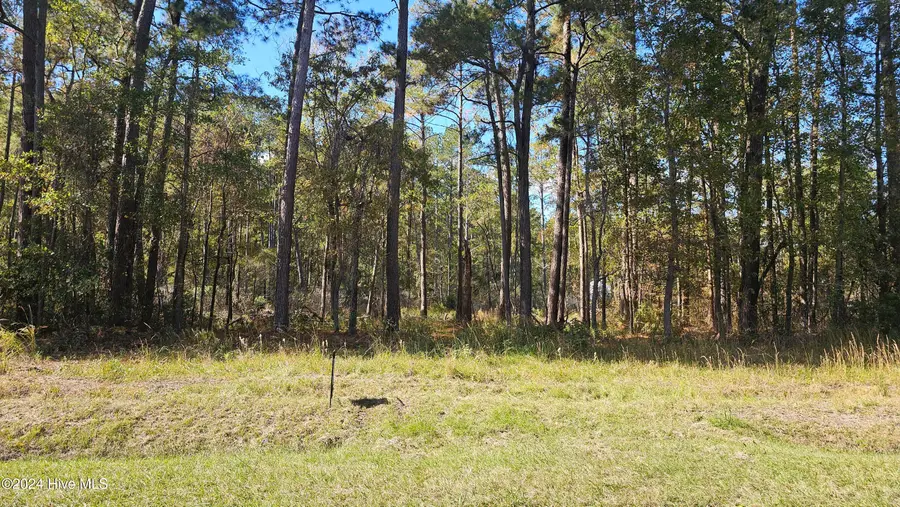 0 Barnes Foster Loop Road, Belhaven, NC 27810 - Image #2