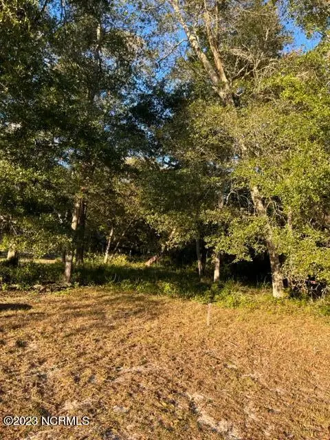 1820 Heron Watch Drive Sw, Supply, NC 28462 - #2