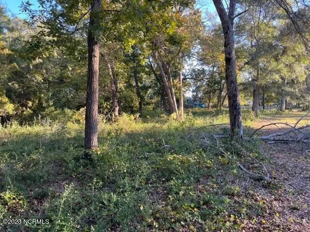 1820 Heron Watch Drive Sw, Supply, NC 28462 - #3