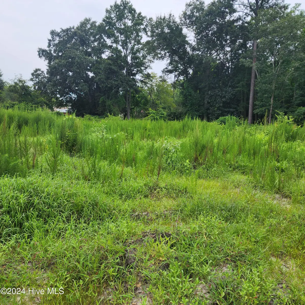 E1107 Eleven Farms Rd. Road, Salemburg, NC 28385 - Image #1