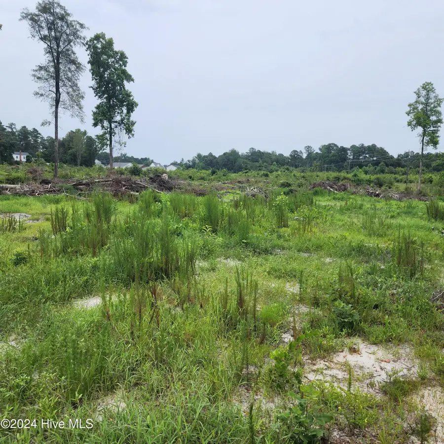 E1107 Eleven Farms Rd. Road, Salemburg, NC 28385 - Image #2