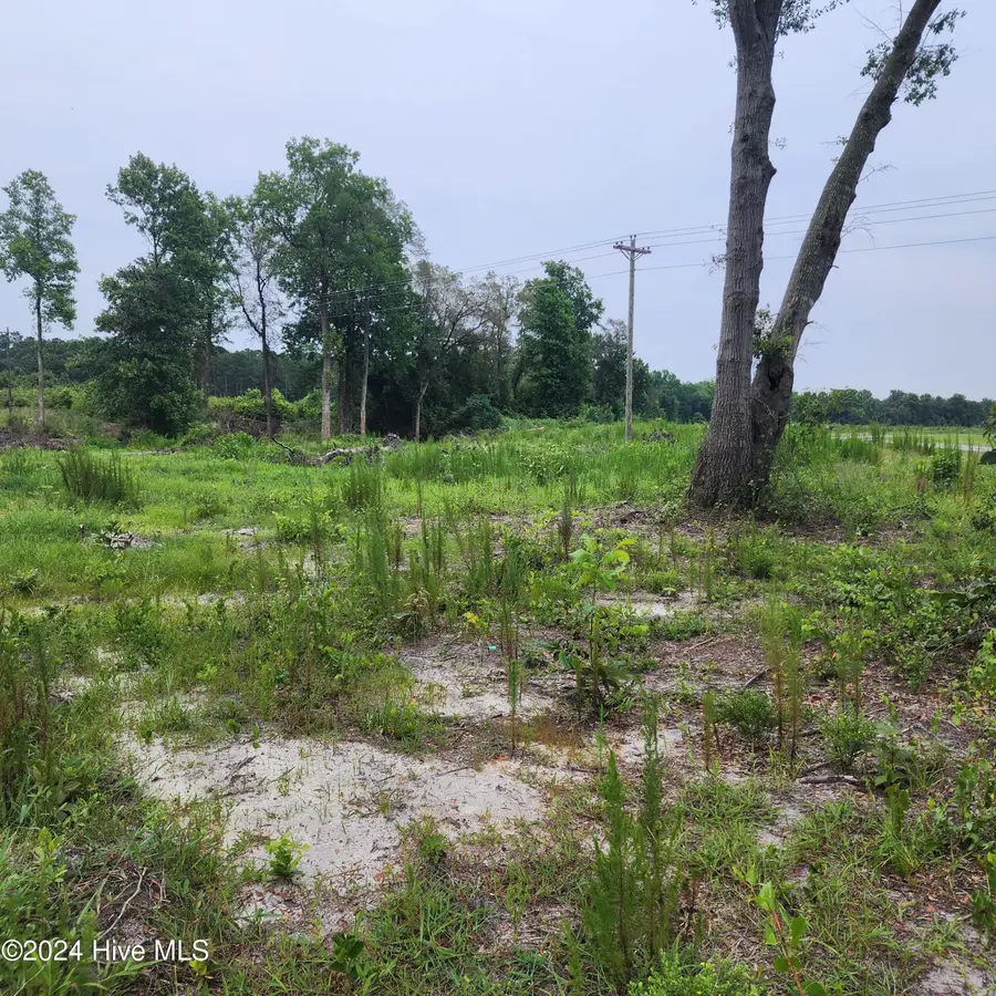 E1107 Eleven Farms Rd. Road, Salemburg, NC 28385 - Image #3