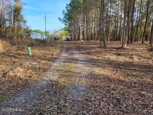 Lot 6 Minor Run Road, Edward, NC 27821 - Image #3