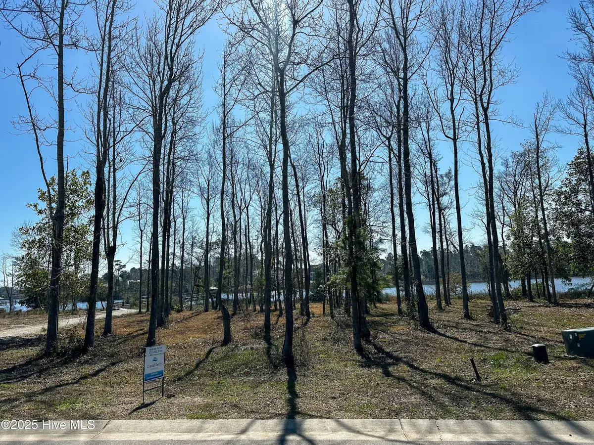 Lot 45 Crown Pointe Drive, Hampstead, NC 28443 - #1