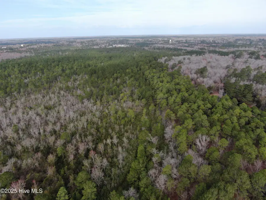 Tbd Orange Steet, Fair Bluff, NC 28439 - Image #3