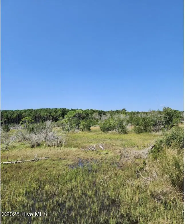 170 Royal Palms Way, Holly Ridge, NC 28445 - #3