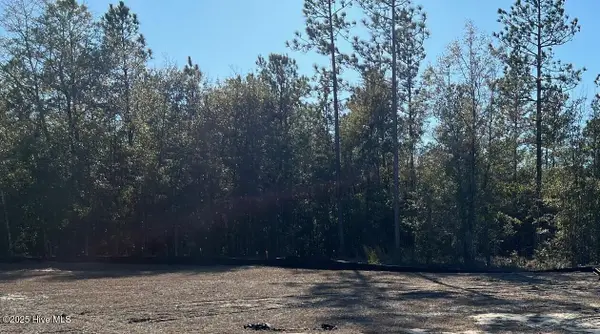 2773 W Timber Crest Lane Ne, Leland, NC 28451