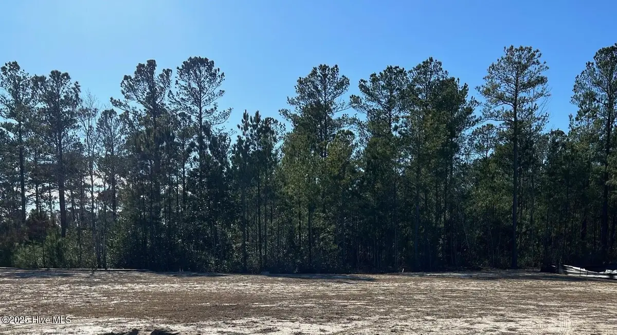 3038 W Timber Crest Lane Ne, Leland, NC 28451 - Image #1