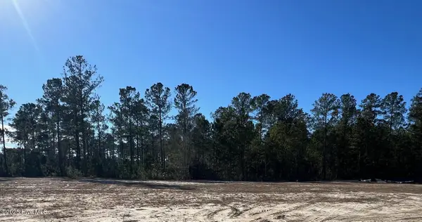 3042 W Timber Crest Lane Ne, Leland, NC 28451