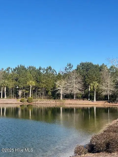 3057 Brackenbury Street Sw, Shallotte, NC 28470 - Image #3