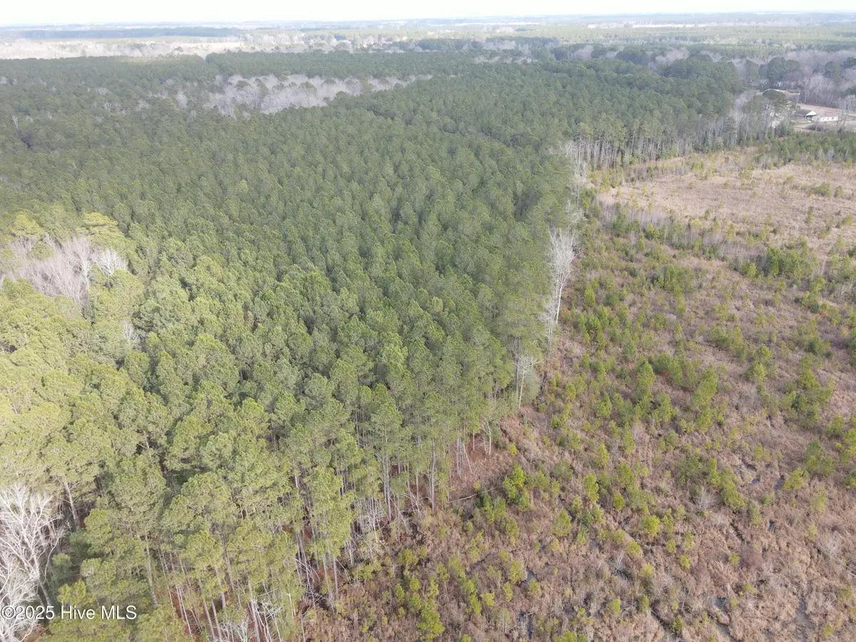 Tbd Highway 461, Ahoskie, NC 27910 - Image #1