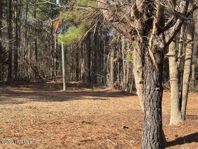 Tbd Highway 461, Ahoskie, NC 27910 - Image #2