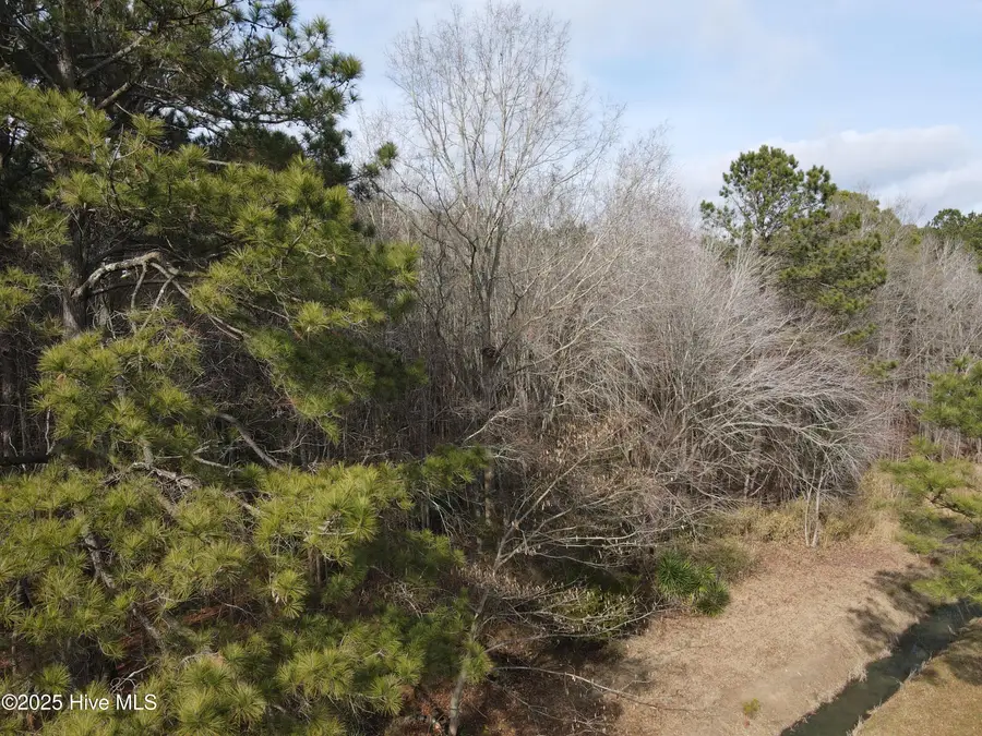 Tbd Highway 461, Ahoskie, NC 27910 - Image #3