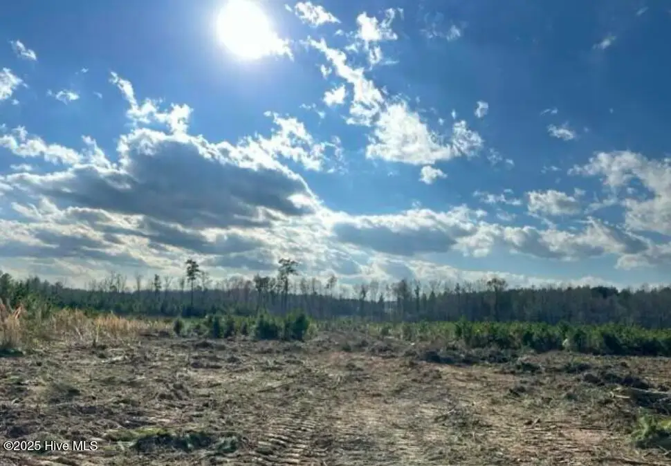 Lot 19 Good Shepherd Trail, Spring Hope, NC 27882 - Image #1