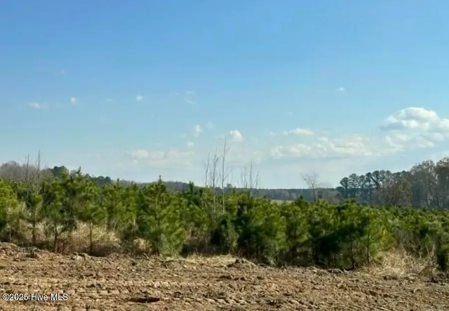 Lot 19 Good Shepherd Trail, Spring Hope, NC 27882 - Image #2