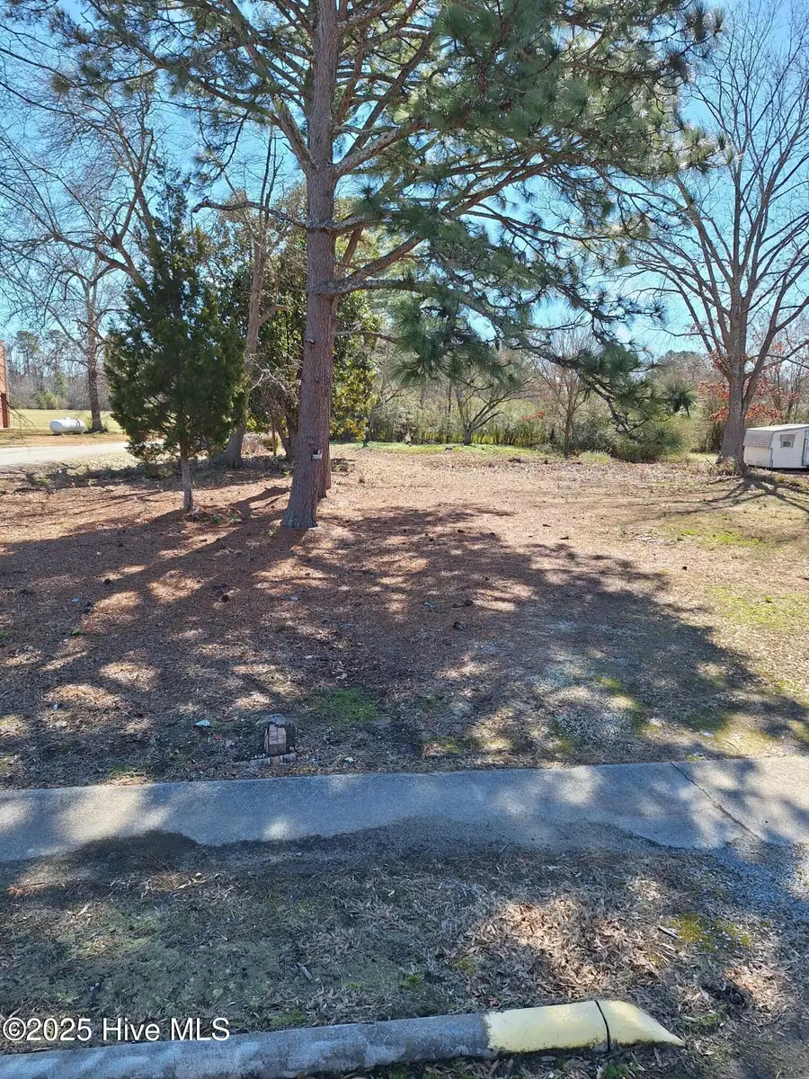 Tbd Roberts Road, Rich Square, NC 27869 - Image #2