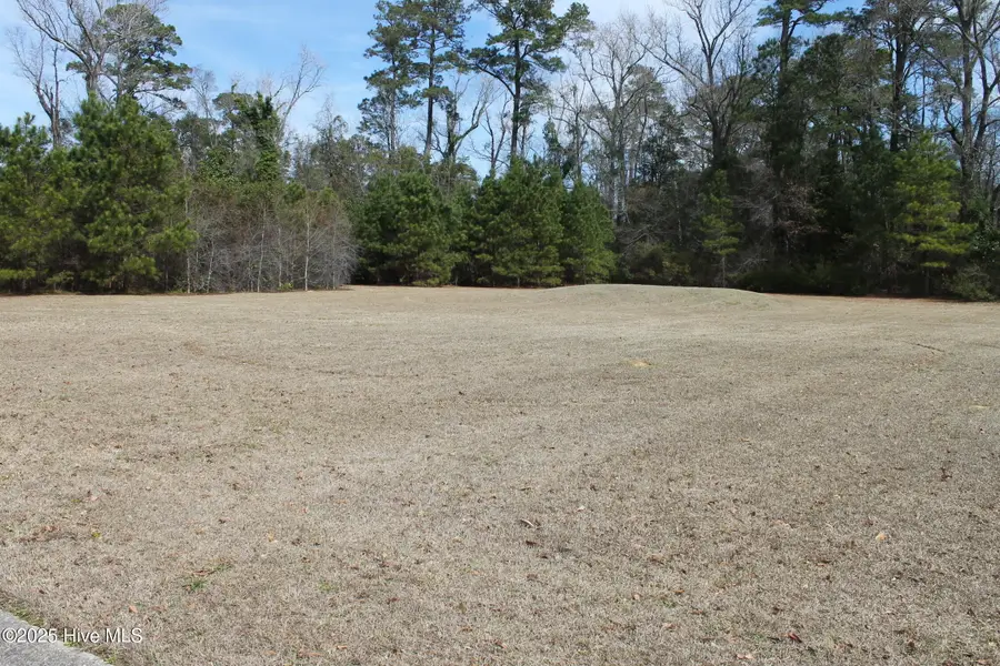 621 Pecan Lane S, Whiteville, NC 28472 - Image #2