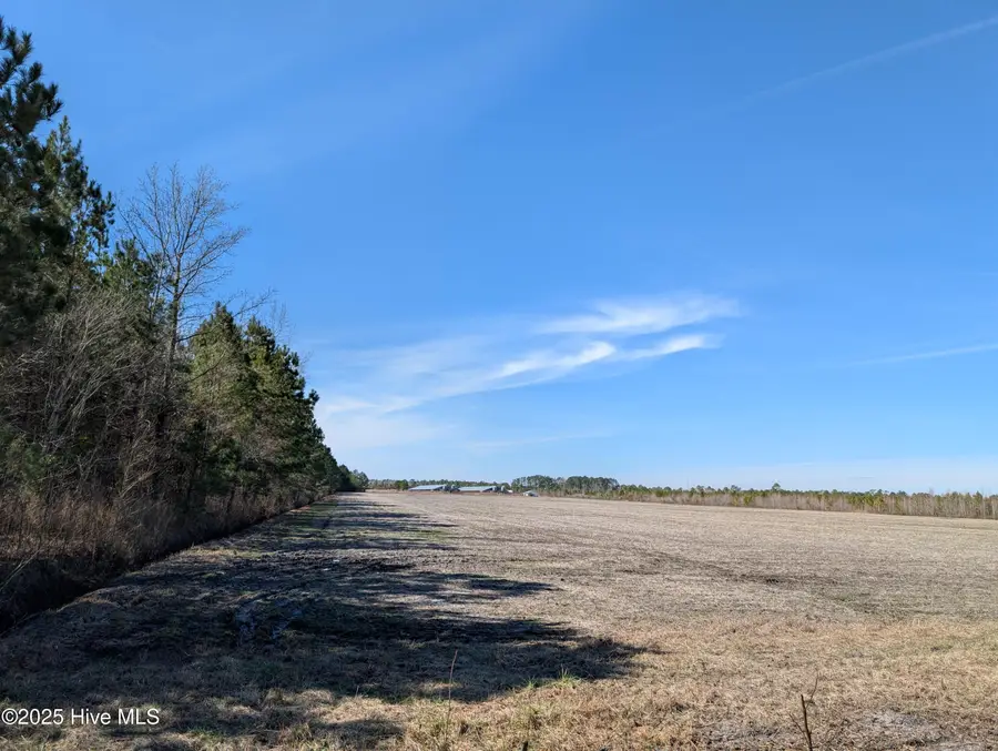 522 Plum Nearly Lane, Trenton, NC 28585 - Image #2