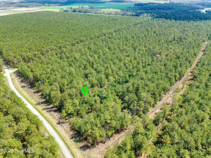 20 Sandy Point Road, Scranton, NC 27875 - Image #2